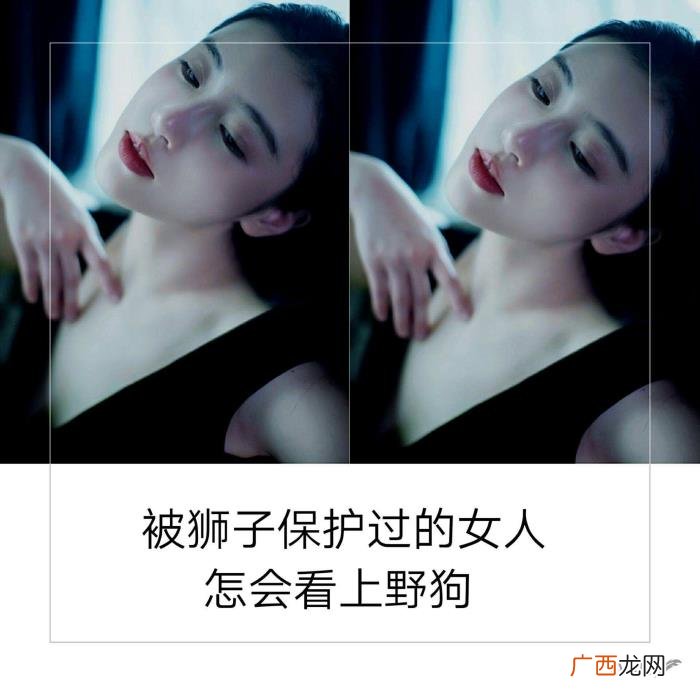 爱过雄鹰的女人怎么会看得上麻雀 爱过雄鹰的女人怎么会看得上乌鸦