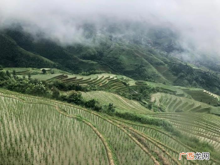 名人经典语录90句 名人名句摘抄大全