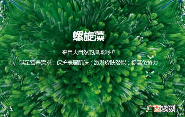 lantern兰亭是什么牌子?兰亭是哪个国家的什么档次