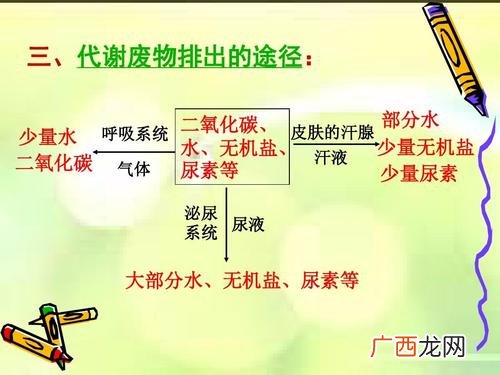 人体中含有尿素吗尿素过高有什么影响