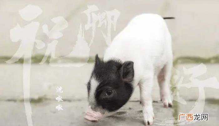 袁冰妍电视剧古装，袁冰妍两部古装待播剧