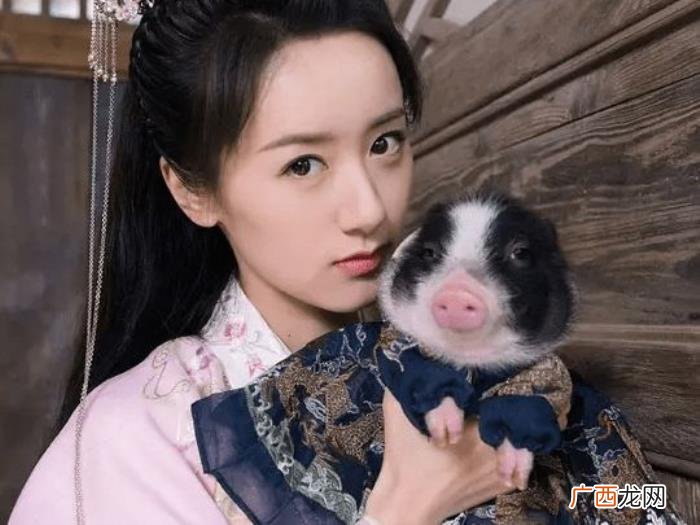 袁冰妍电视剧古装，袁冰妍两部古装待播剧