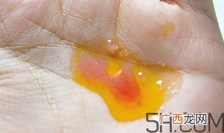 安娜柏林橙花蜜怎么用？安娜柏林橙花蜜使用方法