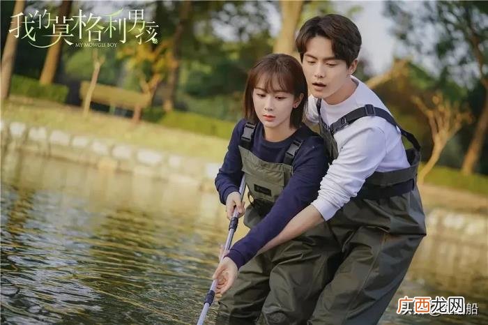 杨紫演过的电视剧角色，八部杨紫出演过的电视剧