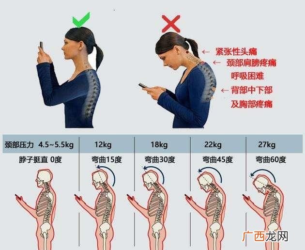 富贵包是骨头还是肉呢长富贵包日常要注意什么