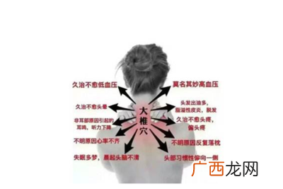 富贵包是骨头还是肉呢长富贵包日常要注意什么