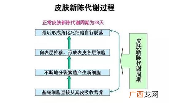 怎样能提高代谢功能提高代谢功能的方法