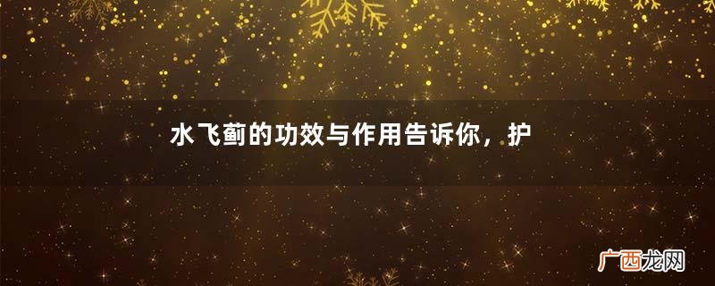 水飞蓟的功效与作用告诉你，护肝需及时