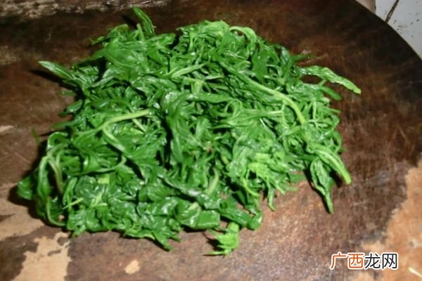 艾叶水洗头的作用艾叶水洗头的功效