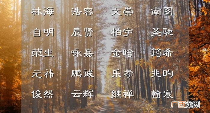 带有欣字的男孩名字，独特小众的绝美男孩名字