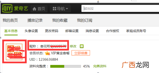 利用免费分享爱奇艺会员账号共享获上万流量