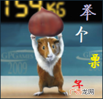 网站排名和是否更新没有直接关系