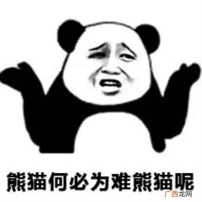 表情包｜对不起我错了 对不起图片带字