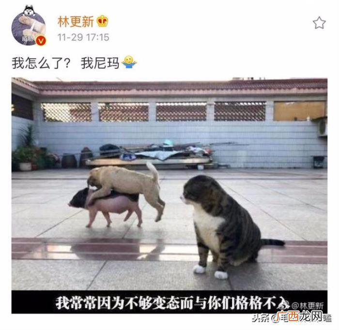 胡歌蒋梦婕，力挺胡歌言辞的俞灏明、蒋梦婕发文道歉