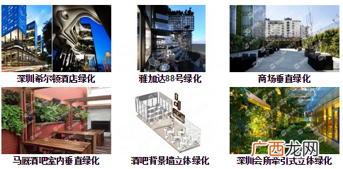 警告SEOER：保持住你的权重，别人权重分散了