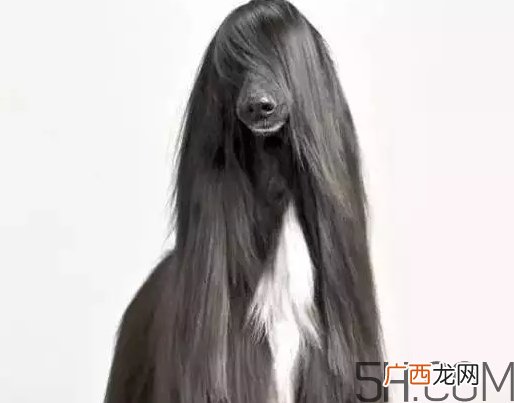 发蜡可以带上飞机吗?发蜡可以带上高铁吗