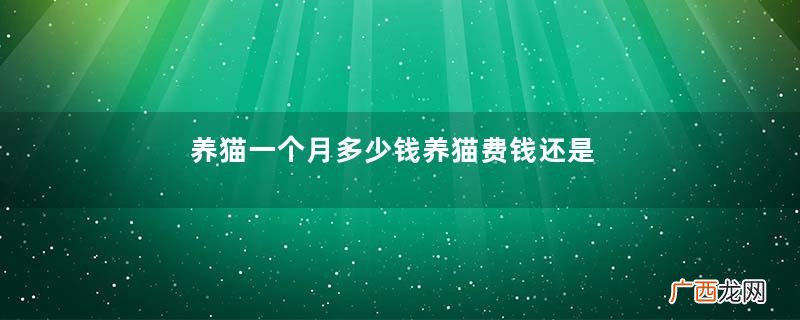 养猫一个月多少钱养猫费钱还是养狗费钱
