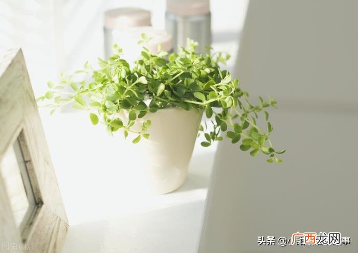 女性如何应对老公的精神背叛 老公有精神出轨迹象怎么办