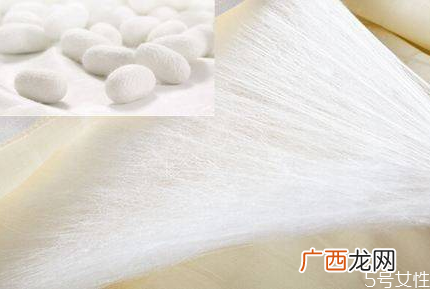 蚕丝被猫尿了怎么清洗蚕丝被怎么去尿骚味