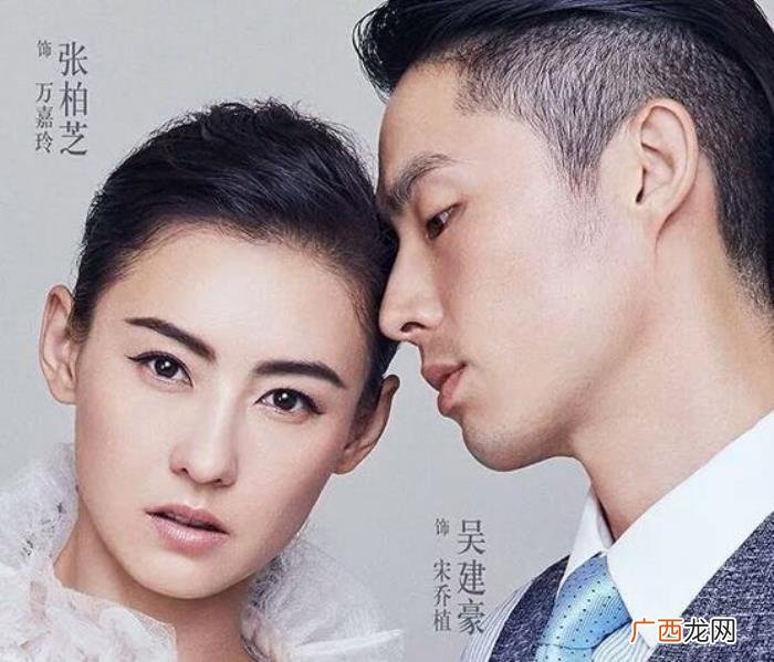 魏晨钟汉良，看到了钟汉良、杨紫、魏晨、袁姗姗