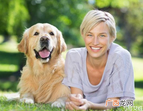 狗拉稀怎么办狗狗拉稀什么原因