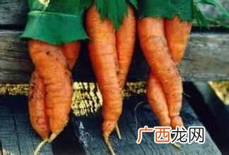 大、中、小企业运营的差距