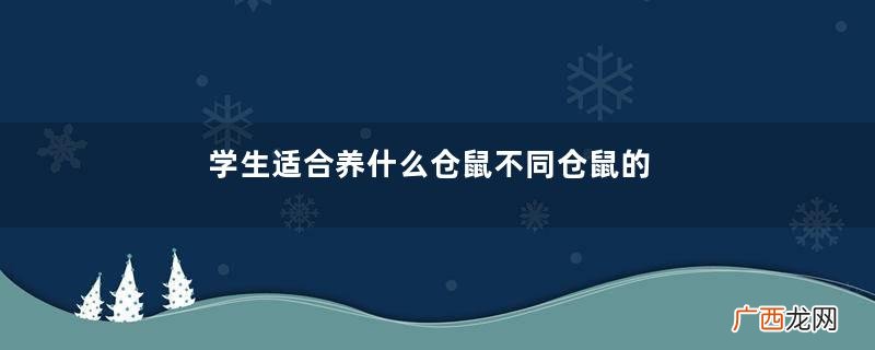 学生适合养什么仓鼠不同仓鼠的饲养环境