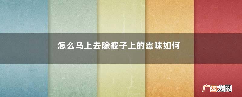 怎么马上去除被子上的霉味如何防止被子发霉