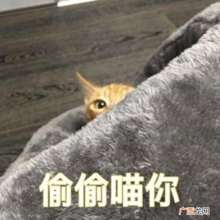 今日份热门斗图表情包29张 热门图片