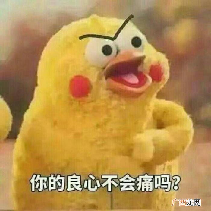今日份热门斗图表情包29张 热门图片