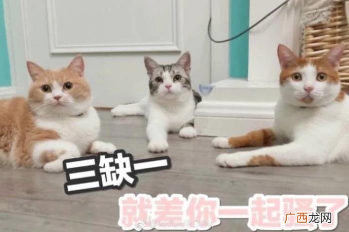 今日份热门斗图表情包29张 热门图片