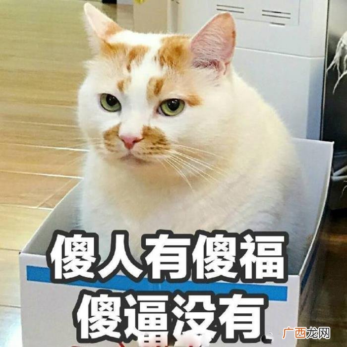 今日份热门斗图表情包29张 热门图片