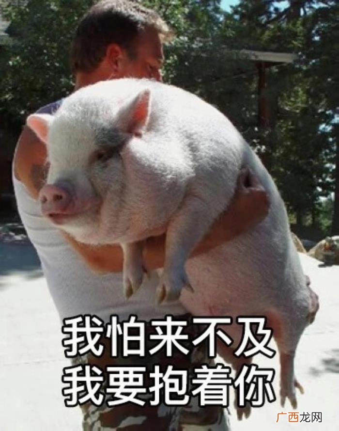 今日份热门斗图表情包29张 热门图片