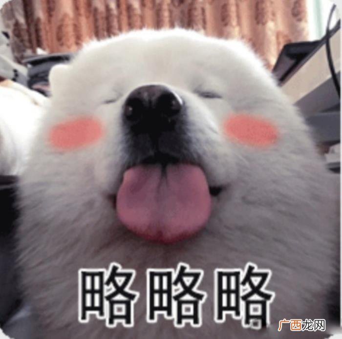 今日份热门斗图表情包29张 热门图片