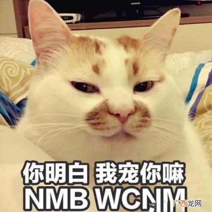 今日份热门斗图表情包29张 热门图片