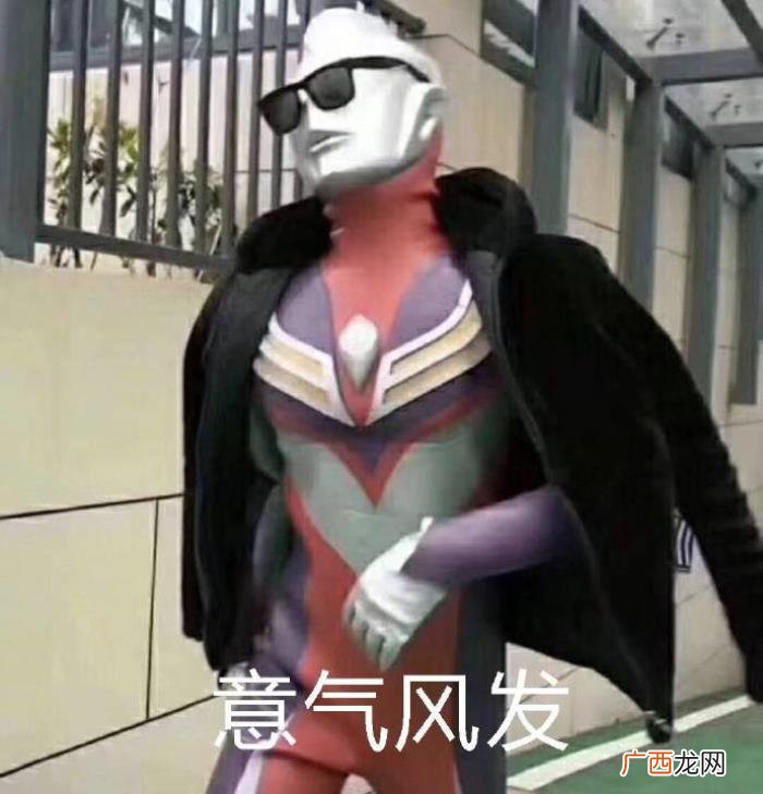 今日份热门斗图表情包29张 热门图片