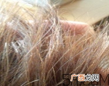 韵之堂是什么牌子？韵之堂洗发水怎么样？