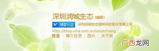 看我的公司网站是如何推广的