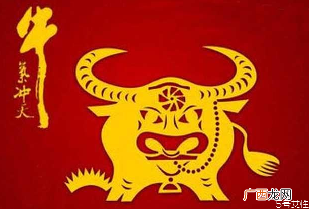 2021年属什么生肖2021金牛年几月出生最好