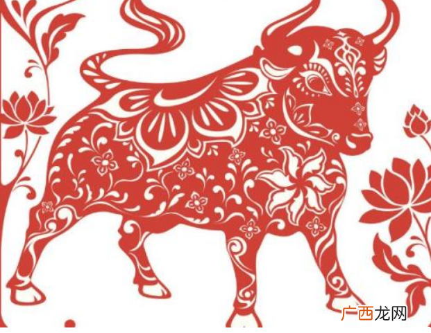 2021年属什么生肖2021金牛年几月出生最好