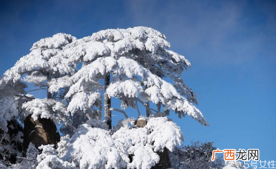 元旦去哪里看雪比较好中国看雪的十大地方