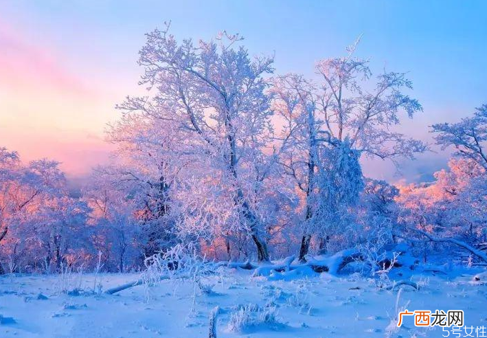 元旦去哪里看雪比较好中国看雪的十大地方