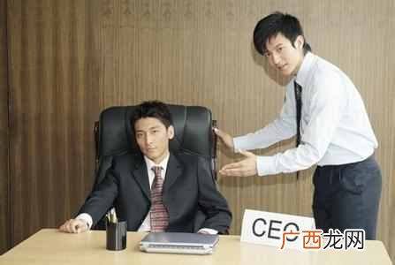 垂直绿化网站优化计划