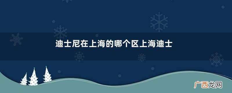 迪士尼在上海的哪个区上海迪士尼两个人预算