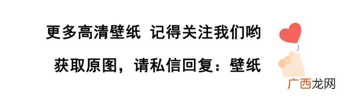 一组好看的壁纸美图 好看的美图