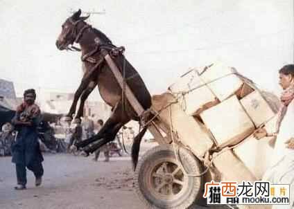 如何进行网站分析