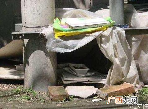 流浪猫冬天怎么过冬怎么帮助流浪猫过冬