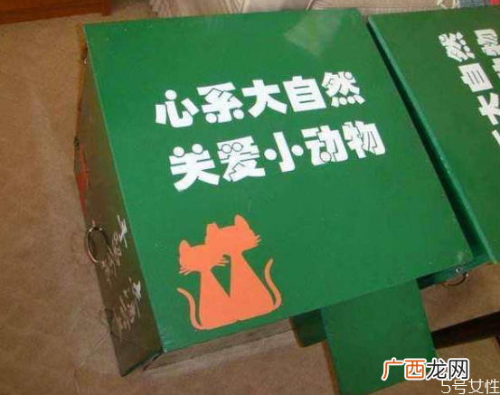 流浪猫冬天怎么过冬怎么帮助流浪猫过冬