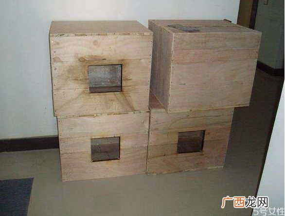 流浪猫冬天怎么过冬怎么帮助流浪猫过冬