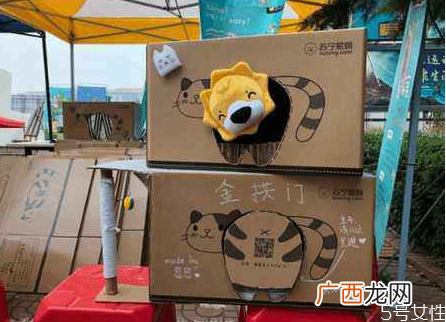 流浪猫冬天怎么过冬怎么帮助流浪猫过冬